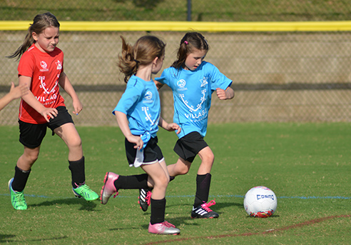 Youth Soccer Leagues for Early Childhood, Elementary School, Middle School, and High School