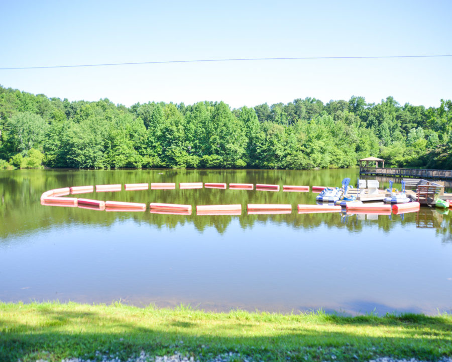 Small lake with green grass and trees around