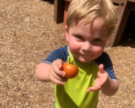 Boy holding a tomato at the Sunshine School