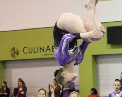 Female at team gymnastics